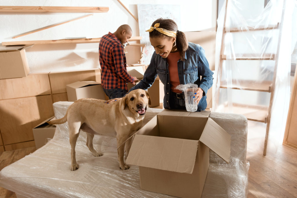 Moving with Pets Checklist